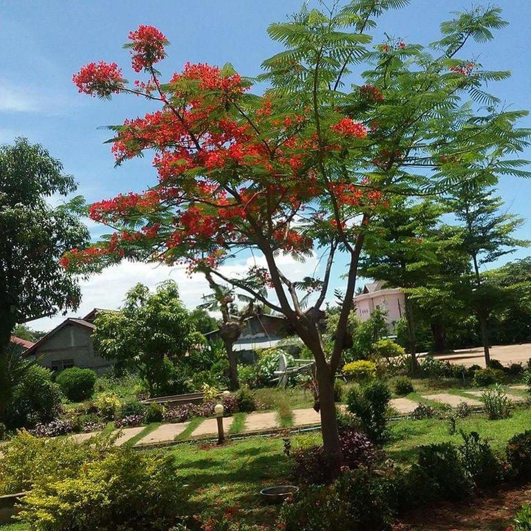 Xuanmai Garden Resort ปากเซ ภายนอก รูปภาพ